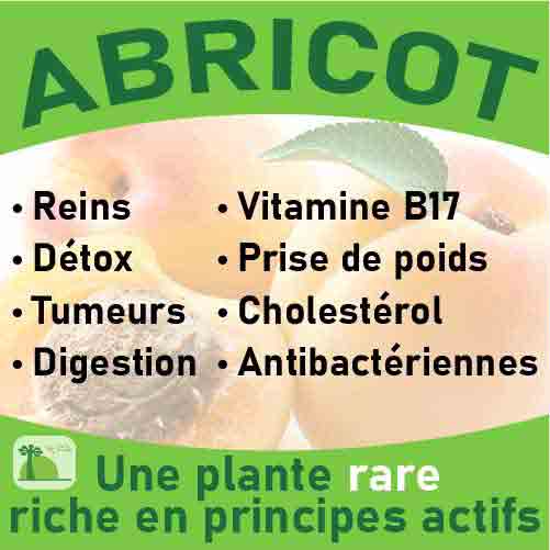 Abricot, le laboratoire Biologiquement des plantes rares riches en principes actifs.
