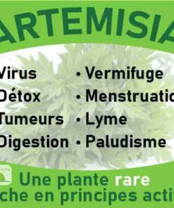 Artemisia, le laboratoire Biologiquement des plantes rares riches en principes actifs.