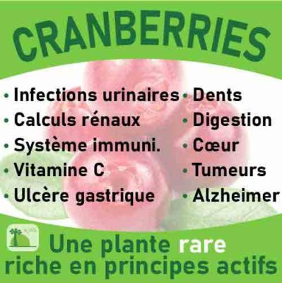 Cranberries, le laboratoire Biologiquement des plantes rares riches en principes actifs.