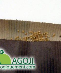 Les graines de Goji bio Himalaya produit par Biologiquement