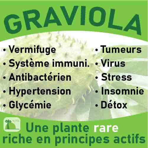 Graviola, le laboratoire Biologiquement des plantes rares riches en principes actifs.