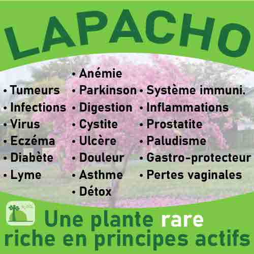 Lapacho, le laboratoire Biologiquement des plantes rares riches en principes actifs.