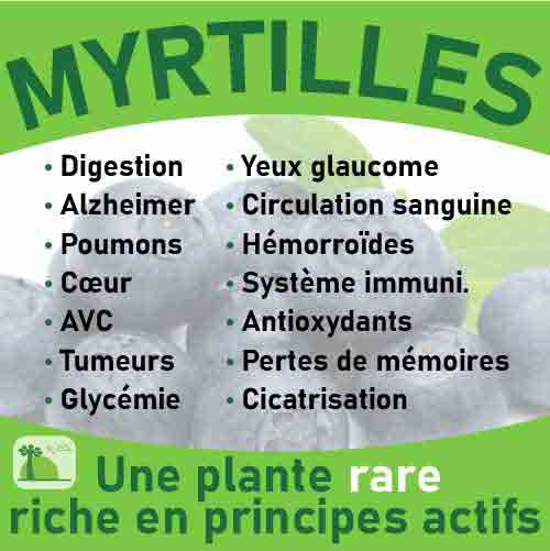 Myrtilles, le laboratoire Biologiquement des plantes rares riches en principes actifs.