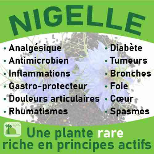 Nigelle, le laboratoire Biologiquement des plantes rares riches en principes actifs.