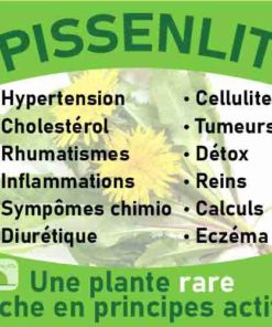 Pissenlit, le laboratoire Biologiquement des plantes rares riches en principes actifs.