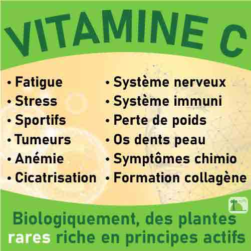 Vitamine c, le laboratoire Biologiquement des plantes rares riches en principes actifs.
