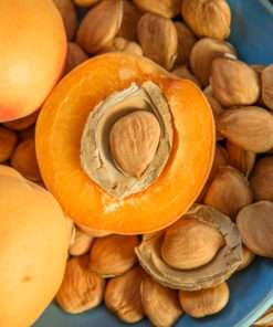 Les amandes amères d'abricots sont l’une des plus importantes sources de vitamine B17, appelée aussi laetrile ou Amygdaline, un anti-cancer naturel puissant